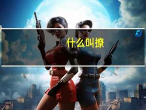 什么叫撩