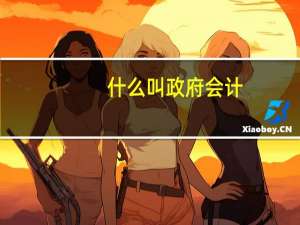 什么叫政府会计