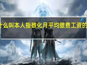 什么叫本人指数化月平均缴费工资的平均值