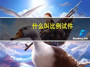 什么叫比例试件