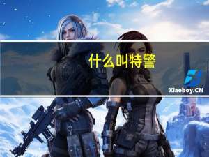 什么叫特警