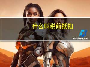 什么叫税前抵扣