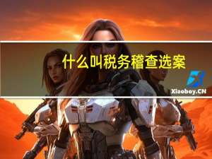 什么叫税务稽查选案