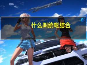 什么叫统帐结合