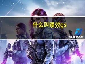 什么叫绩效gs
