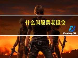 什么叫股票老鼠仓