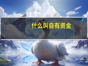 什么叫自有资金