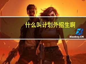 什么叫计划外招生啊
