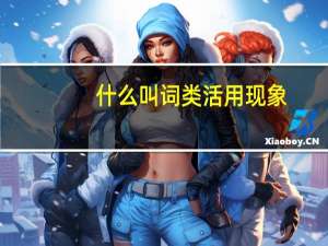 什么叫词类活用现象