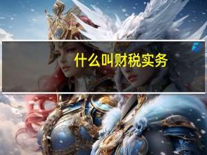什么叫财税实务