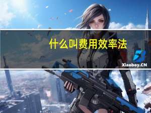 什么叫费用效率法