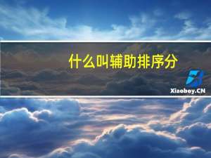 什么叫辅助排序分