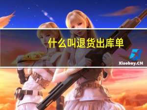 什么叫退货出库单