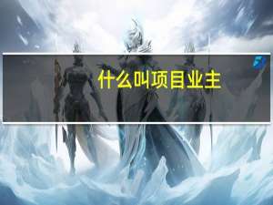 什么叫项目业主