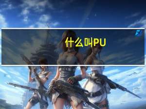 什么叫PU