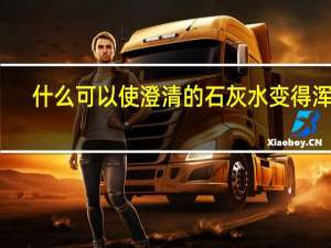 什么可以使澄清的石灰水变得浑浊