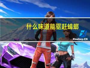 什么味道能驱赶蟑螂