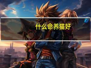 什么命养猫好