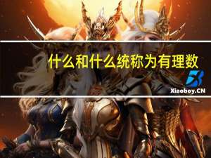 什么和什么统称为有理数