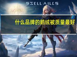 什么品牌的鹅绒被质量最好