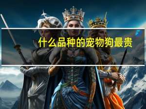 什么品种的宠物狗最贵
