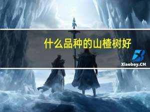 什么品种的山楂树好