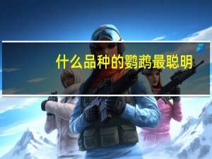 什么品种的鹦鹉最聪明