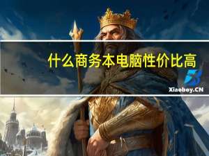 什么商务本电脑性价比高
