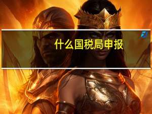 什么国税局申报