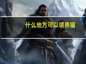 什么地方可以领养猫