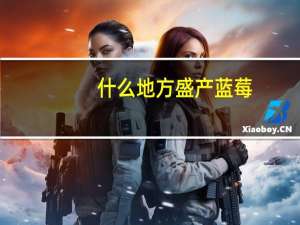 什么地方盛产蓝莓