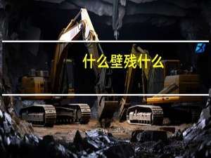 什么壁残什么