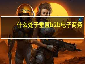 什么处于垂直b2b电子商务