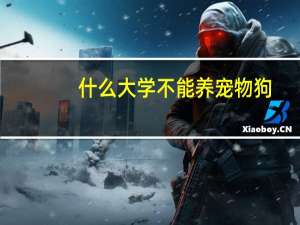 什么大学不能养宠物狗