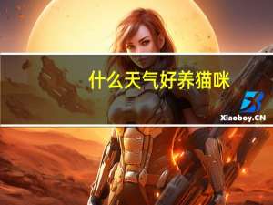 什么天气好养猫咪