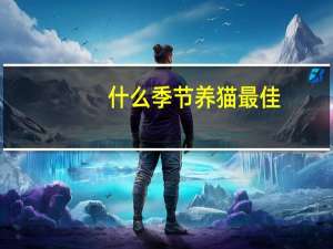 什么季节养猫最佳