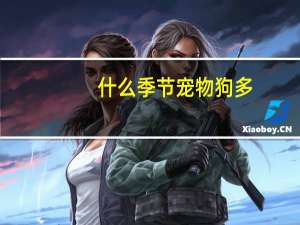 什么季节宠物狗多