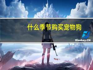什么季节购买宠物狗