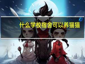 什么学校宿舍可以养猫猫