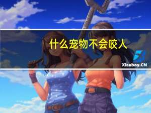 什么宠物不会咬人