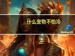 什么宠物不怕冷