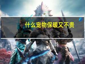 什么宠物保暖又不贵