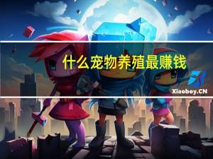 什么宠物养殖最赚钱