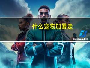 什么宠物加暴走