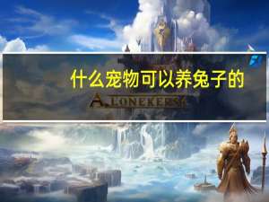 什么宠物可以养兔子的
