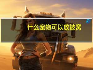 什么宠物可以放被窝
