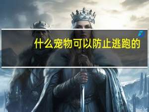 什么宠物可以防止逃跑的