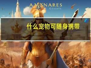 什么宠物可随身携带