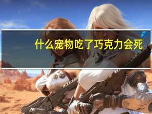 什么宠物吃了巧克力会死