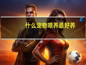 什么宠物喂养最好养